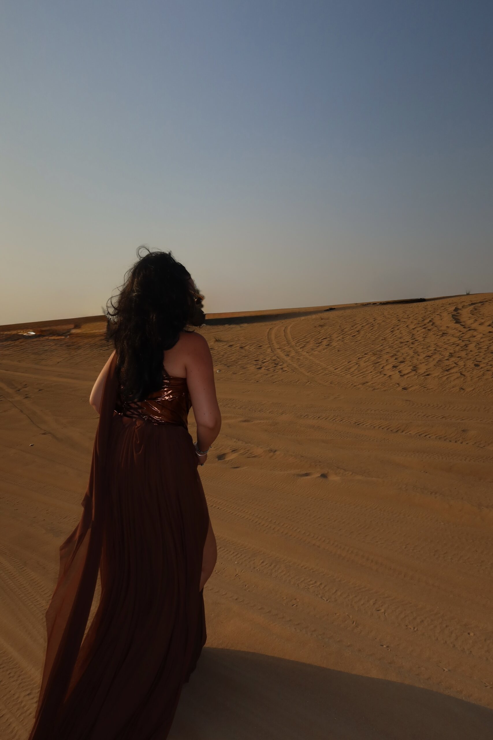 Deserd Ice Dress - Image 3