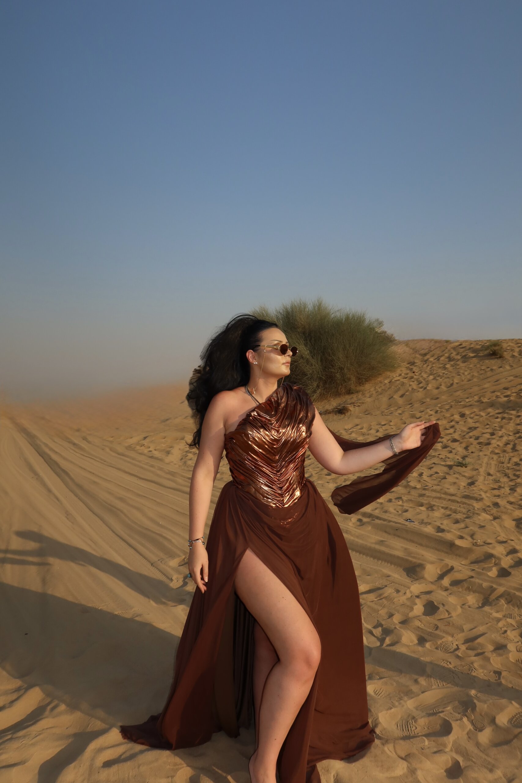 Deserd Ice Dress - Image 4